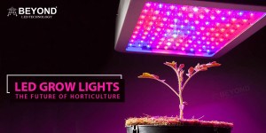 LED Grow Light