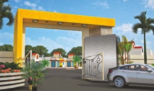 What makes Whitefield and Sarjapur road, Bangalore a real estate center.