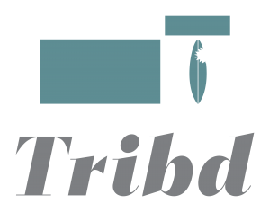 TRIBD - A New TravelTech Venture