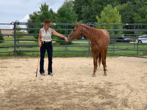 Ryan Rose Slated to Host 3rd Annual BLM Mustang Taming Course