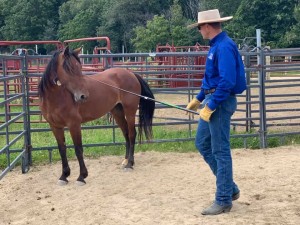 Ryan Rose Slated to Host 3rd Annual BLM Mustang Taming Course