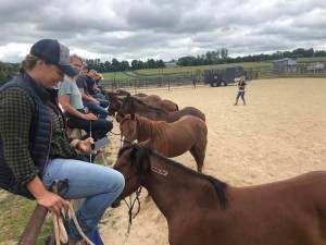 Ryan Rose Slated to Host 3rd Annual BLM Mustang Taming Course
