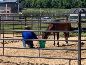 Ryan Rose Slated to Host 3rd Annual BLM Mustang Taming Course