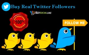 Get Real Twitter Followers