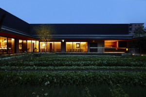 Kyoto Yaoichi Honkan rooftop farm sunset