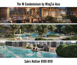The M Condominium Facilities Overview