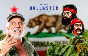 Hollister Biosciences & Tommy Chong Announce Licensing Agreement, Interview Airing on the Positive Phil Show