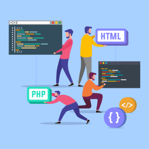 Full Stack Developer