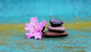 Transedental Meditation Blog With Mindfulness Expert Techniques For Beginners Launched