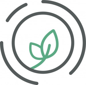 Focus Academy Launches the Digital Health Studio to Accelerate Digital Health Technology