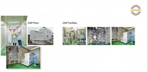ANYGEN CO., LTD. is specialized in the development of peptide bio-materials and new drugs.