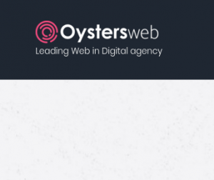 Digital Marketing Agency in US, Why Organisations should go for Digital Campaign and how to generate high ROI