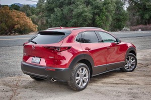 Mazda CX-30 Back
