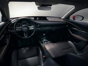 Mazda CX-30 Internal
