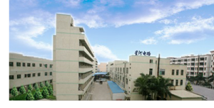 Stariver Circuits Group -PCB leading manufacturer in China ;2-12 layers PCB manufacturer