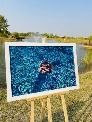 Photograph Display at Lakeside