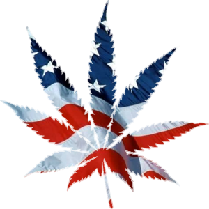 North Springs Resources Corp., Corporate Update; ANNOUNCES NAME CHANGE TO MEDCANN INDUSTRIES, INC. 