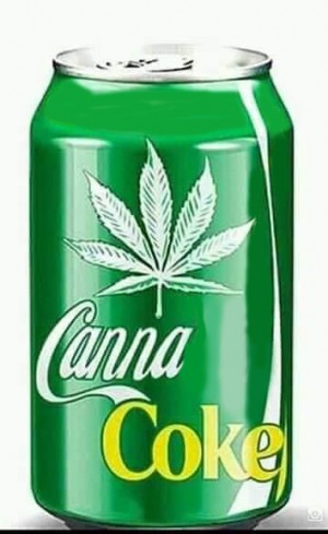 North Springs Resources Corp., Corporate Update; ANNOUNCES NAME CHANGE TO MEDCANN INDUSTRIES, INC. 