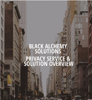 Amongst security vendors yelling for attention, Black Alchemy Solutions os whispers deafening results. 
