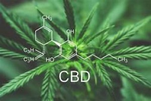 Research is Being Conducted on CBD and its possible ability to combat Covid19 - OC Wellness Solution