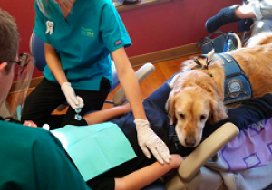 By Dr Farah Talib, DMD