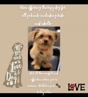 By Dr Farah Talib, DMD