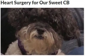 Brandon Dante Launches Heart Surgery GoFundMe Campaign for CB