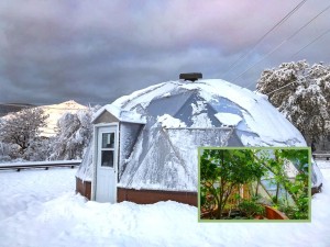 Grow Year-Round with Growing Spaces Geodesic Greenhouse Kits.