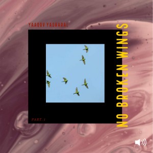 No Broken Wings part1