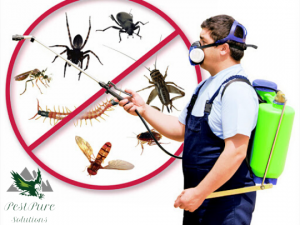 Pest Control Market 2020 Worldwide Analysis, Opportunities And Forecast To 2025