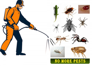 Pest Control Market 2020 Worldwide Analysis, Opportunities And Forecast To 2025