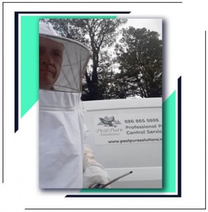 Pest Control Market 2020 Worldwide Analysis, Opportunities And Forecast To 2025