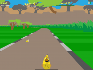 Racing Level