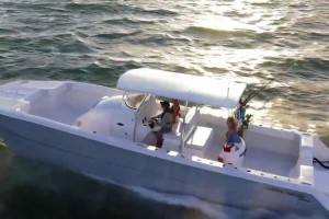 Fun Day on the Water with Turtle