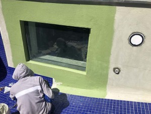 Pool-Fix Sydney logo