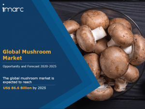 Global Mushroom Market