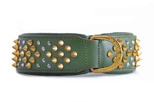 Green Leather Collar