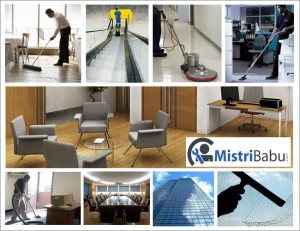 Cleaning in Vasant Kunj, Vasant Vihar New Delhi