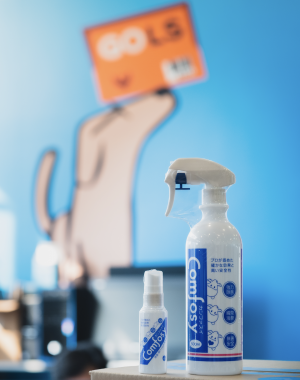 PPE - Spray Disinfectant