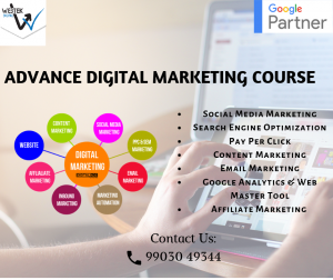 Participate in career-centric digital marketing training offered by WebTek Digital Marketing