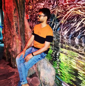 Brajesh Kumar Singh Blogger