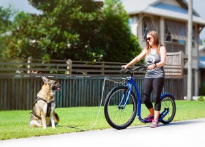 Get Fit & Bond With You Pup In A Fun New Way