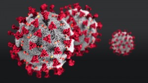 Fortel is Prepared to Help Fight Against the Covid - 19 Pandemic