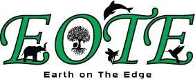 SITE LOGO SITE LOGO