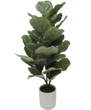 Oldvine Florals Introduces their Indoor and House Plant Collection