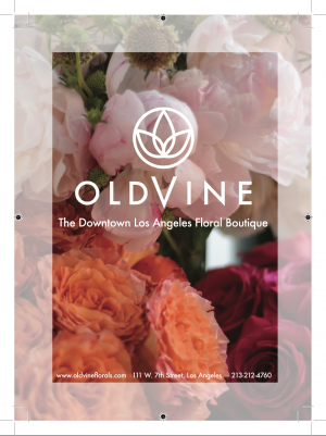 Oldvine Florals Introduces their Indoor and House Plant Collection
