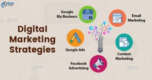 Digital Marketing Company in Delhi