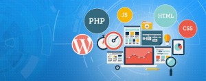 Web Design and Development Company in India