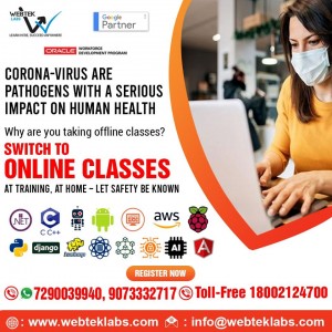 Receive best training in Data analysis using python and Other Courses offered by WebTek Labs