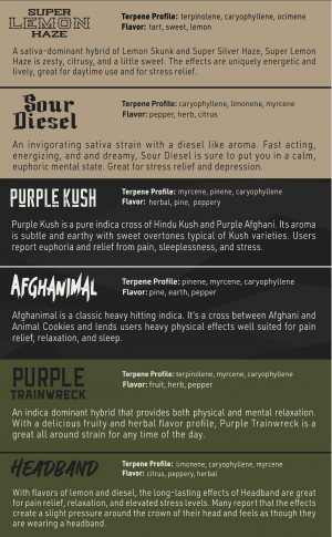 Founded by Team of Special Ops Marine Raiders, The Helmand Valley Growers Company Announces Launch